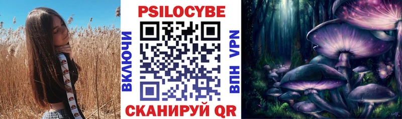купить наркоту  omg маркетплейс  Галлюциногенные грибы Cubensis  Гаджиево 